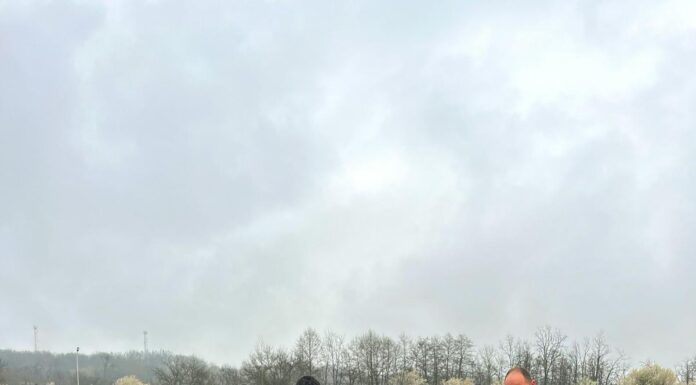 CSM Târgu Jiu rămâne invincibilă în L4