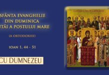 Viaţa Spirituală – Calea, Lumina, Adevărul şi Viaţa – Dumnezeu Însuşi a introdus icoanele în Legea nouă, în Biserica întemeiată de Fiul Său, cu icoana Mântuitorului Iisus Hristos şi a Preasfintei Născătoare de Dumnezeu!