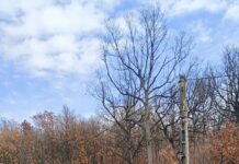 Zeci de șoferi vitezomani, înregistrați cu radarul eSIGUR, la Bâlteni