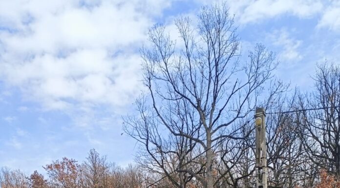 Zeci de șoferi vitezomani, înregistrați cu radarul eSIGUR, la Bâlteni