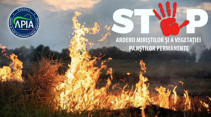 APIA: Fermierii au interdicția arderii vegetației uscate