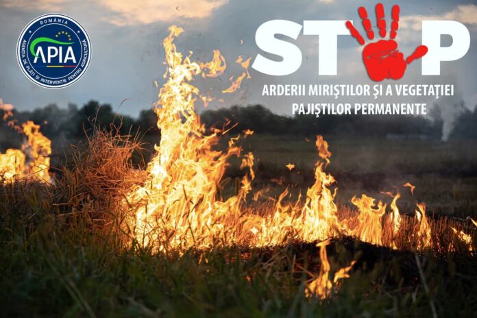 APIA: Fermierii au interdicția arderii vegetației uscate