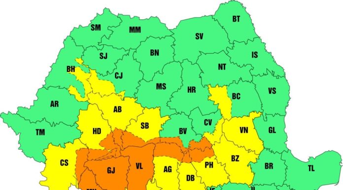 Cod portocaliu de ploi