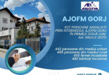 Aproape o mie de persoane și-au găsit un loc de muncă prin intermediul AJOFM Gorj