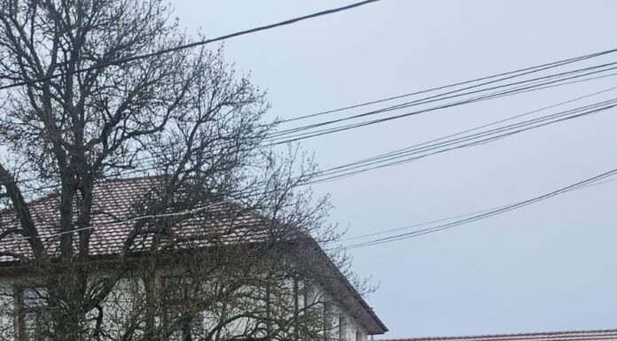 Lecție deschisă pentru elevii din Bălănești, oferită de polițiștii rutieri