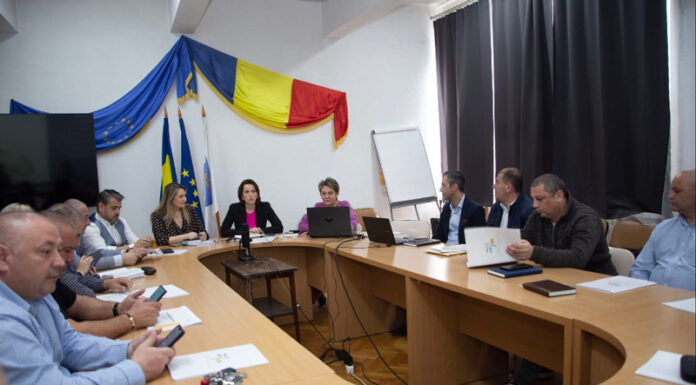 Pași pentru înființarea unei Organizații de Management al Destinației în Gorj