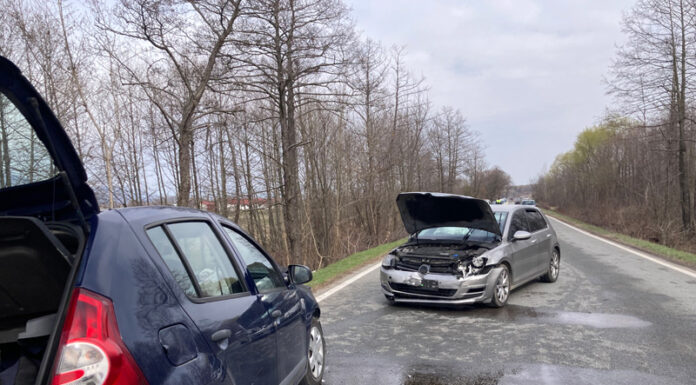 Accident cu patru răniți în apropiere de Peștișani!