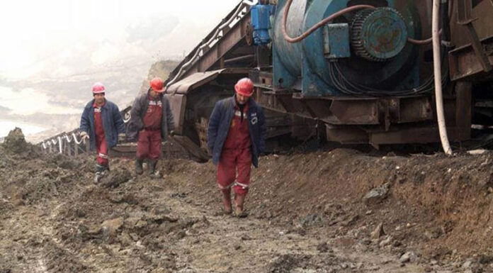 Până când sunt ținuți ,,în șah” cei 1.800 angajați ,,determinați” ai CEO!