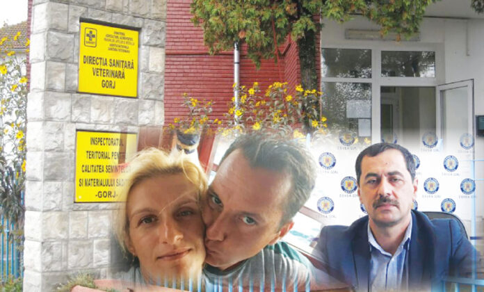 Ce avere au acumulat Mocioi și Ștefănescu până a fi numiți directori la DSVSA Gorj