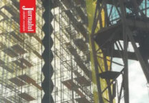 Cronica literară – Triada publicistică a lui Vasile Vasiescu/Recurs la Brâncuși