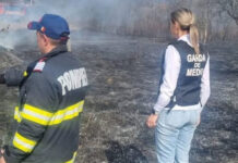 Au primit amenzi după ce au dat foc terenurilor