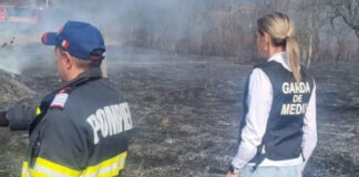 Au primit amenzi după ce au dat foc terenurilor