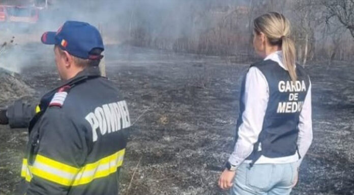 Au primit amenzi după ce au dat foc terenurilor