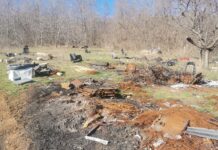 Localnic din Schela prins când ardea deșeuri. Amendă mare! Foto