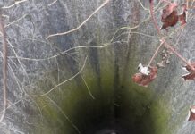 Câine aruncat într-un puț de câțiva metri și abandonat, la Fărcășești