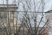 Explozie într-un apartament din Târgu Jiu!