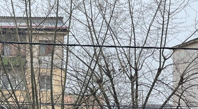 Explozie într-un apartament din Târgu Jiu!