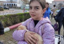 Motru: Târg de adopții cu surprize! Trei căței fericiți (Foto/video)