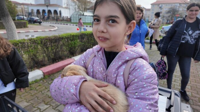 WhatsApp Image 2025-03-30 at 19.19.45 (2)