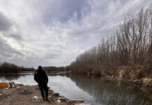 Jiul, contaminat cu azot din amoniu – Mii de pești morți pe luciul apei