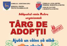 Târg de adopții pentru iubitorii de animale, la Motru