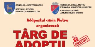 Târg de adopții pentru iubitorii de animale, la Motru