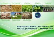 APIA a demarat autorizarea la plată a ANT-urilor