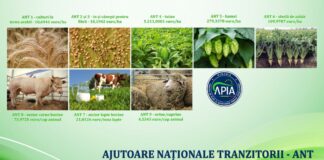 APIA a demarat autorizarea la plată a ANT-urilor