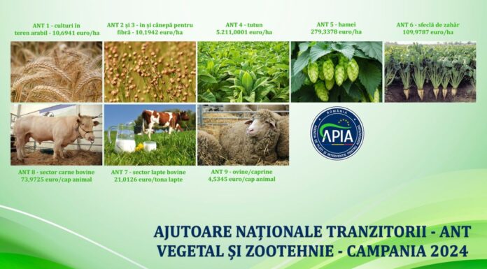 APIA a demarat autorizarea la plată a ANT-urilor