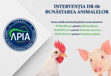 Bani pentru crescătorii de păsări și porcine