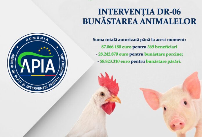 Bani pentru crescătorii de păsări și porcine