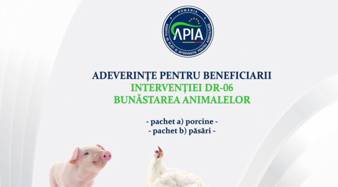 APIA eliberează adeverințe pentru beneficiarii intervenției DR 06