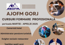 AJOFM demarează noi cursuri pentru șomeri