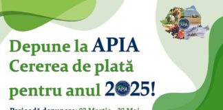 Start campanie: APIA a demarat primirea Cererilor de plată pentru 2025!