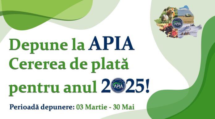 Start campanie: APIA a demarat primirea Cererilor de plată pentru 2025!