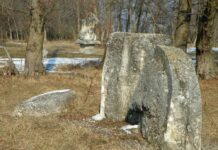 Remember – ,,BRÂNCUȘIANA”