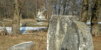 Remember – ,,BRÂNCUȘIANA”