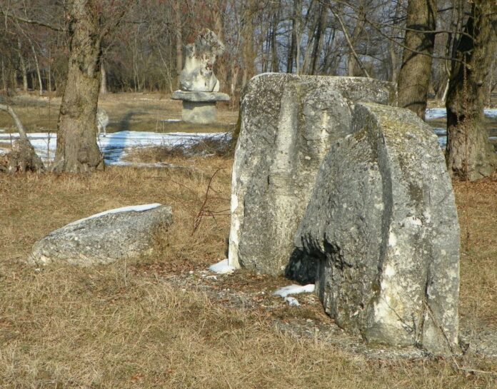 brancusiana hobita (5)