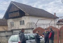 Recensământul câinilor cu stăpân continuă în comunele județului