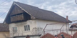 Recensământul câinilor cu stăpân continuă în comunele județului