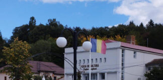 Spectacol organizat de CJCPCT Gorj, de Ziua Mamei