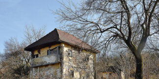 Salvarea Culei Săvoiu din Samarinești: Un apel pentru protejarea patrimoniului!