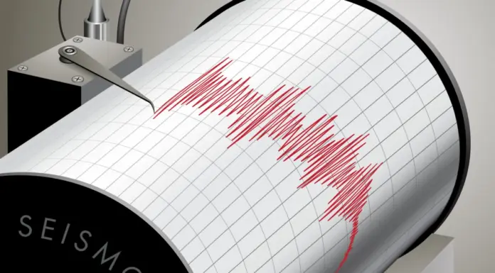Cutremur de 3,1 în regiunea Vrancea