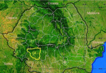 Gorjul, singurul județ din țară în care salariul mediu a scăzut! Explicațiile politicienilor