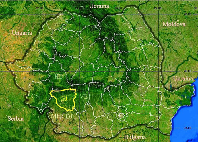 e48c7028-046c-46a4-9dc2-8af00d594971