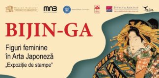 Arta japoneză prinde viață la Târgu Jiu