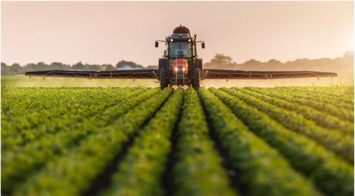 30 septembrie, termen la APIA pentru tinerii fermieri