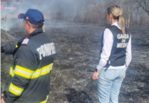 Amenzi de 17.500 de lei – Au dat foc terenurilor