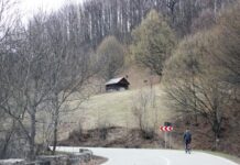 Echinox – De cele mai multe ori, curățenia impune respect