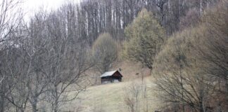 Echinox – De cele mai multe ori, curățenia impune respect